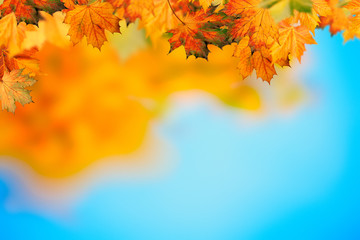 Naklejka na ściany i meble Abstract autumnal backgrounds with beauty bokeh