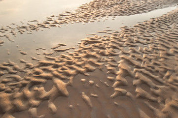 Sand dunes of Khong river and water plant.