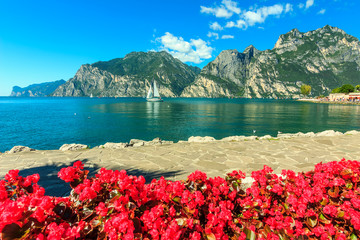 Red flowers,mountains and Lake Garda,Northern Italy,Europe