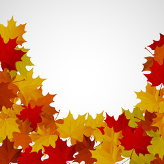 Abstract background with autumn colorful leaves.