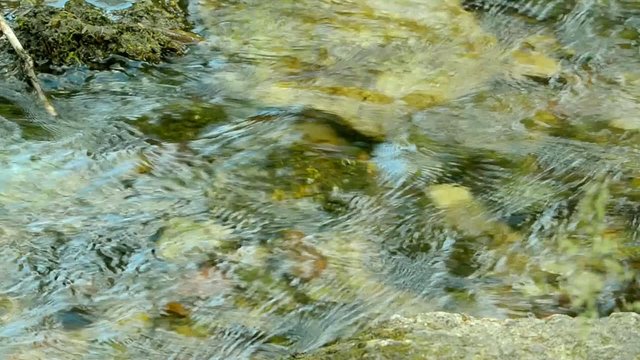 Simuna wellspring