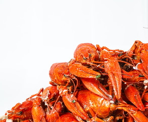 Boiled crayfish