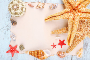 Fototapeta na wymiar Summer frame with seashells, close-up