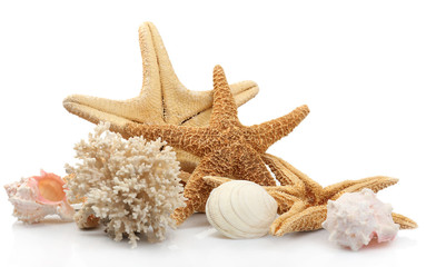 Seashells on sand, isolated on white