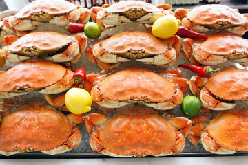 Dungeness crab