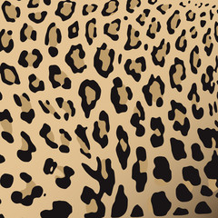 Leopard skin vector