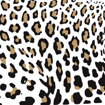 Leopard skin vector
