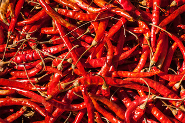 Red spicy chili peppers