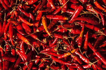 Red spicy chili peppers