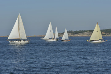 Fototapeta premium summer regatta of sailing boats