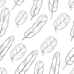 seamless pattern with feather