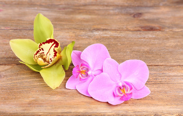 Tropical orchid flowers on wooden background