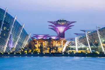Tuinposter Singapore Garden by the bay © vichie81