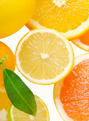 Mix of citrus slice