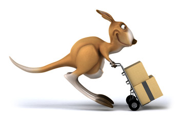 Fun kangaroo © Julien Tromeur
