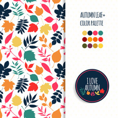 Autumn seamless pattern.Color autumun pallet.