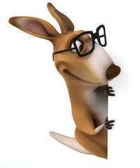 Fun kangaroo © Julien Tromeur