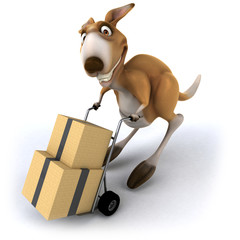 Fun kangaroo © Julien Tromeur