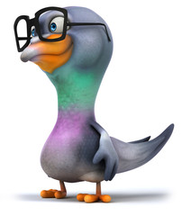 Fun pigeon