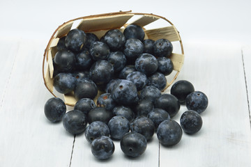 black plums in white background