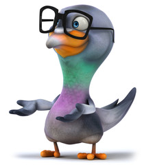 Fun pigeon