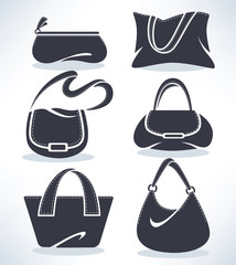 woman's accessories, bags and purses