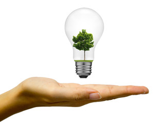 Idea ,light bulb Alternative energy concept