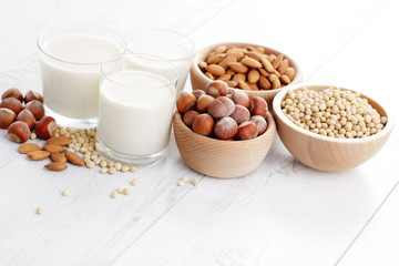 different vegan milk