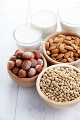 different vegan milk