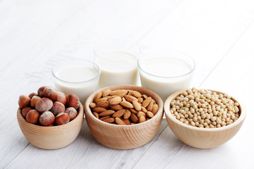 different vegan milk
