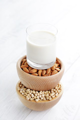 different vegan milk