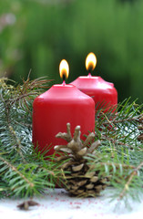 bougie parmi branche de sapin