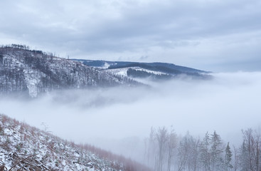 winter fog in Harz mountains