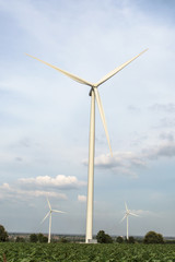 Fototapeta premium wind turbine