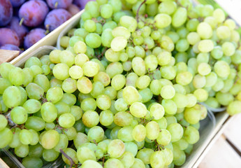 crate white grapes on the market