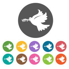 Holy spirit bird with olive leaf icons set. Round colourful 12 b