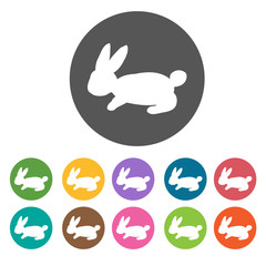 Bunny icons set. Round colourful 12 buttons. Vector illustration