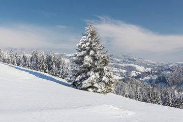 Fototapeta na wymiar Winter in mountains Carpathians, Ukraine