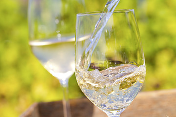 Weißweinglas und Reben Weinglässer