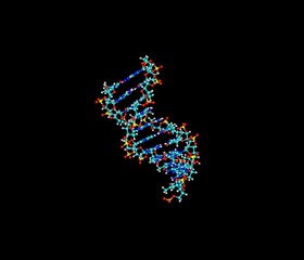 DNA helix molecule isolated on black