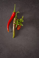 Red and green chilly pepper on a gray background
