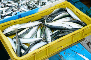 Fototapeta na wymiar crate fresh fish on the market