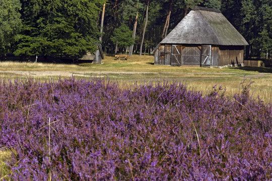 L&uuml;nenburger Heide Schafstall