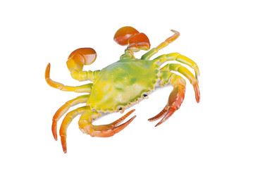 Crab