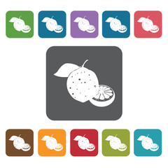 Kalamansi sign icon symbol set. Tropical fruits set. Rectangle c