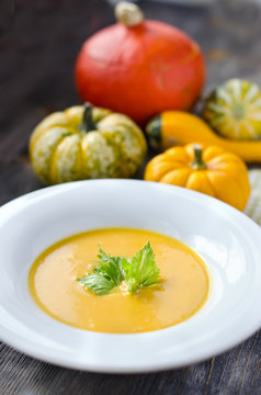Pumpkin soup in a plate with pumpkins
