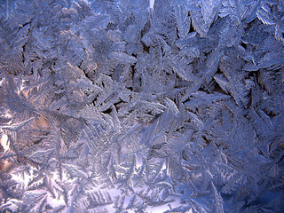 frozen winter window