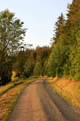 Black forest, Germany