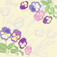 Background with pansies and tulips