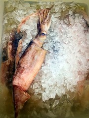 Fresh squid onto the ice